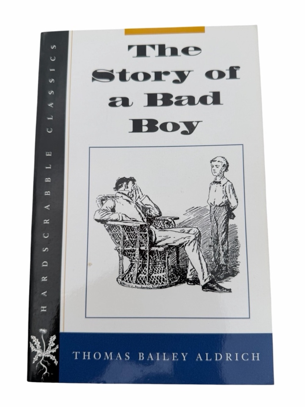 Book The Story of a Bad Boy by Thomas Bailey Aldrich Written 1869 Classic